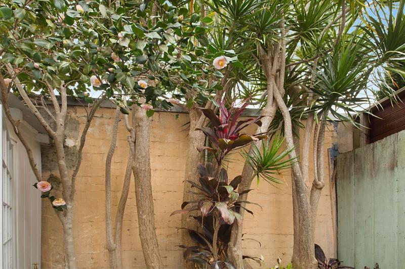 Paddington Garden Cottage With Fast Wifi Sydney Exterior foto
